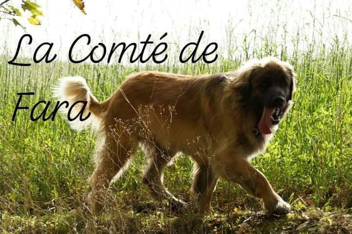 de la Comté de Fara